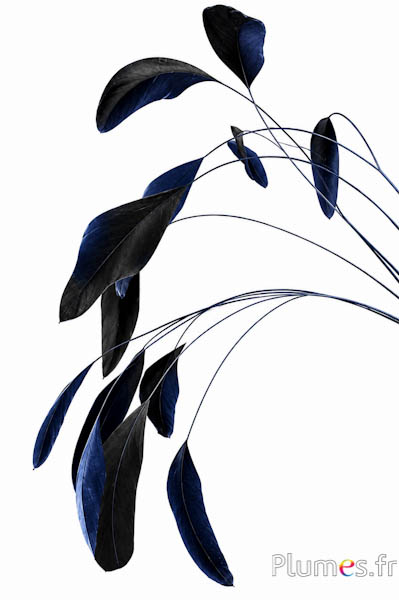 Coquetip - 20-25 cm - blu notte-nero